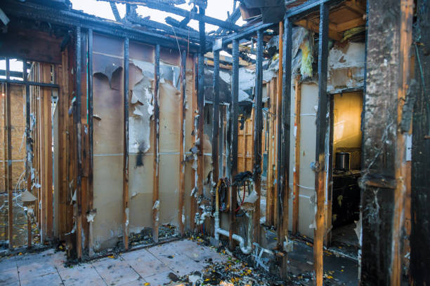 Professional Fire Damage Removal technician working in Kilkenny, MN